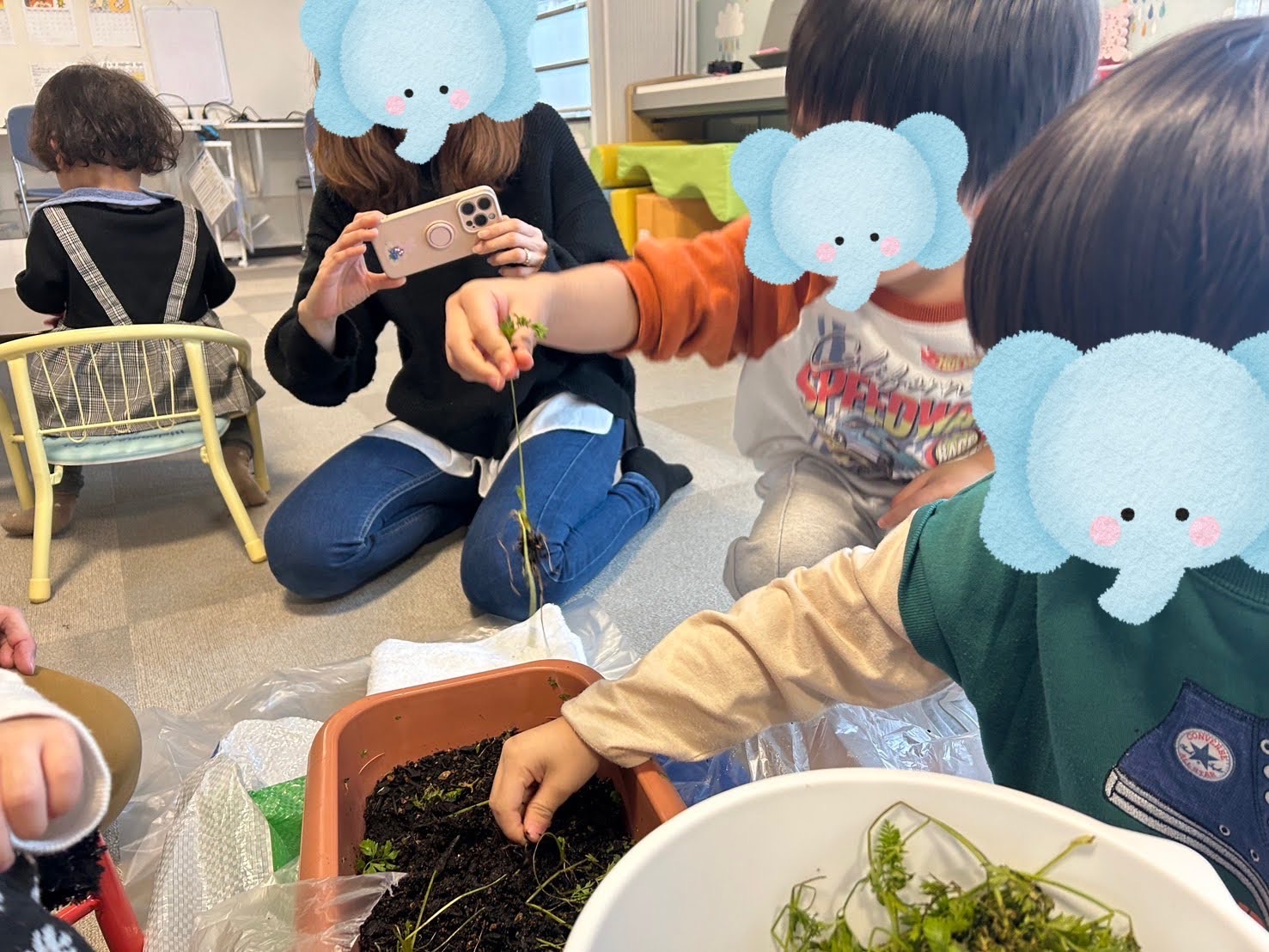 収穫したよ🥕
