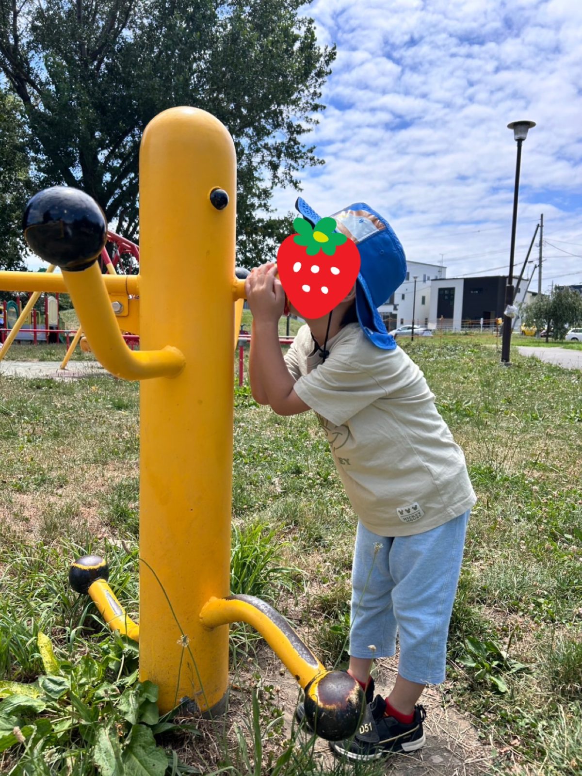 公園！のいちにち