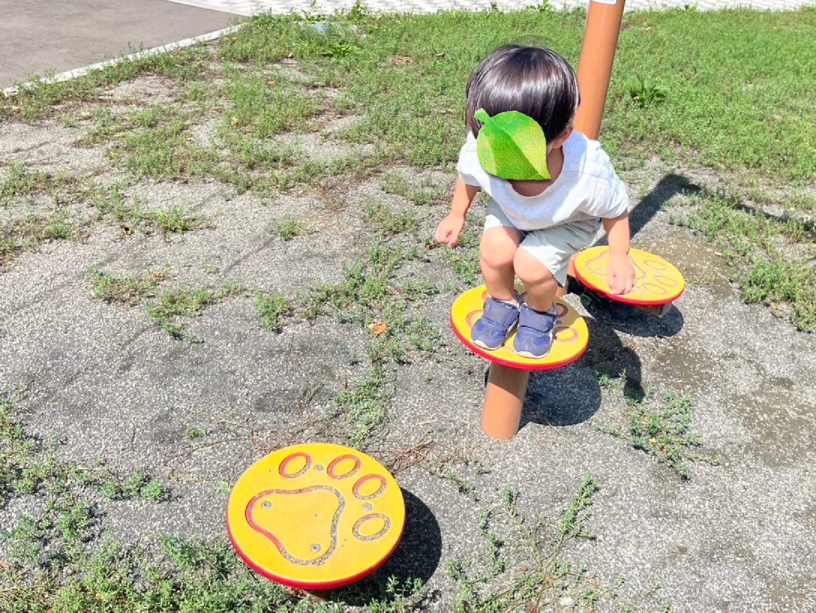 今週の前半🌈1日~3日