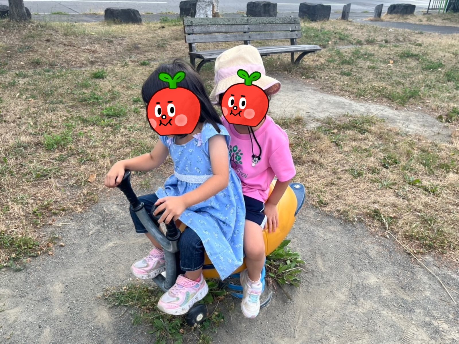 今週の前半🌈14日~16日☔