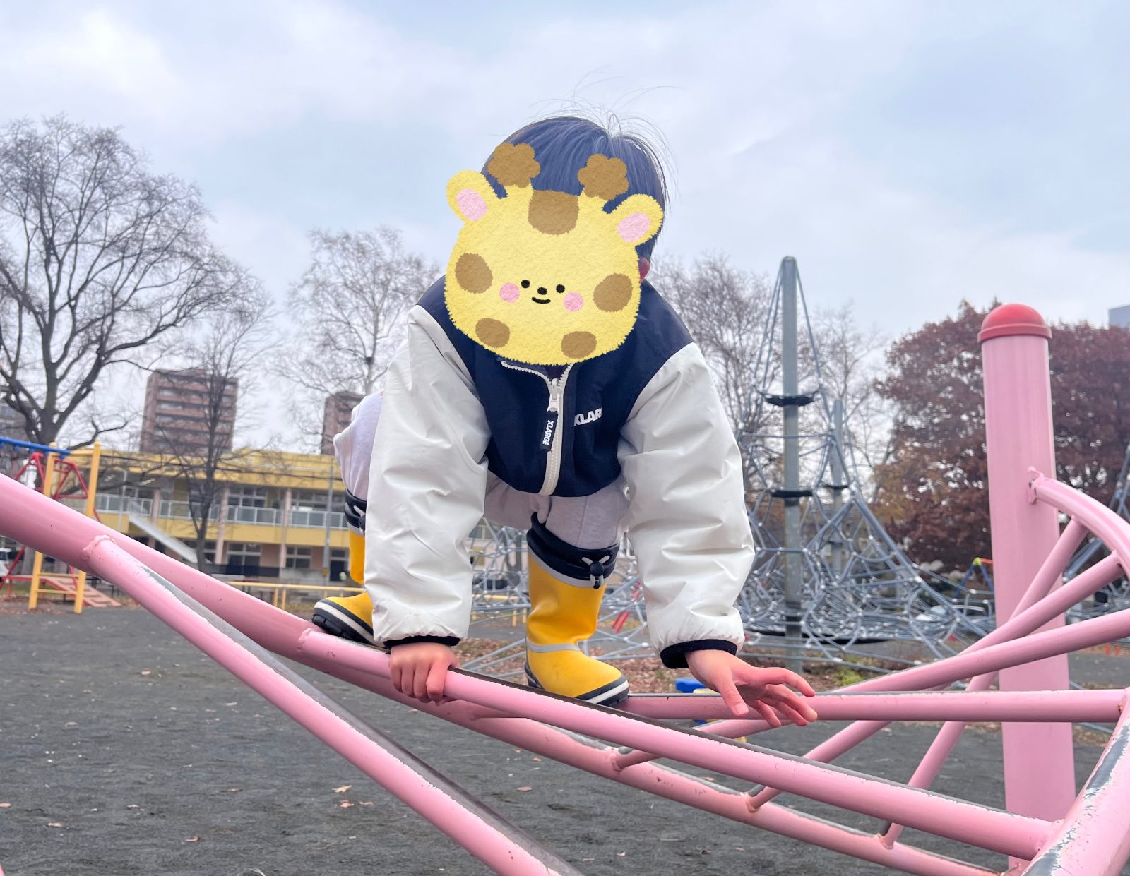 今週の前半🌈25日~26日