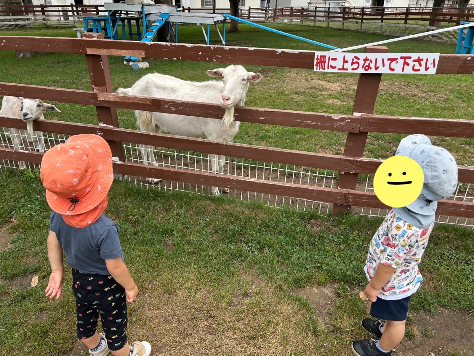 今週の前半🌈28日~30日