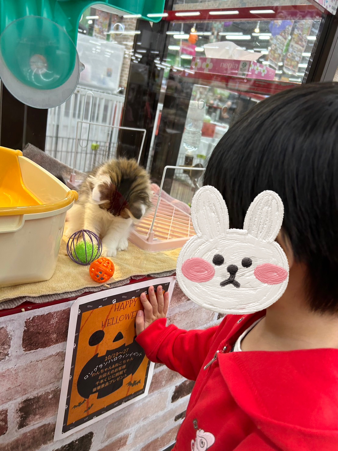 気分いろいろ・・・&ハロウィンカード作り😀