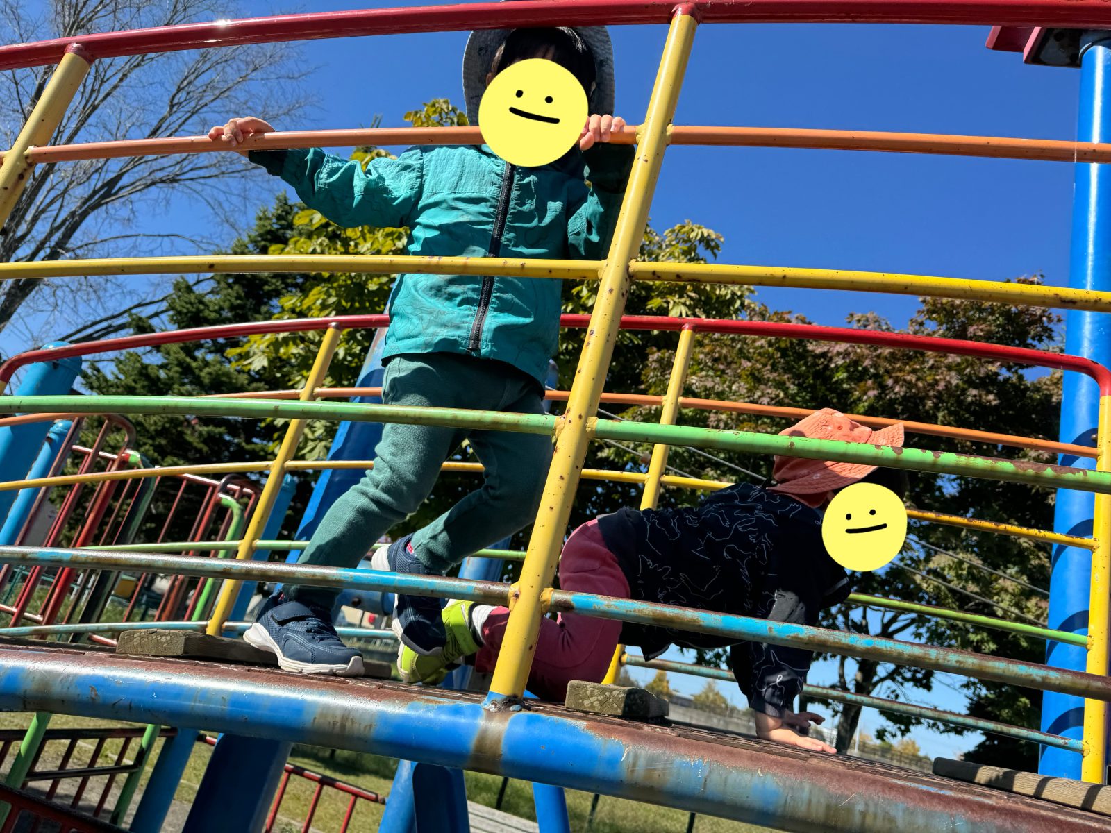 今週の前半🌈14～15日