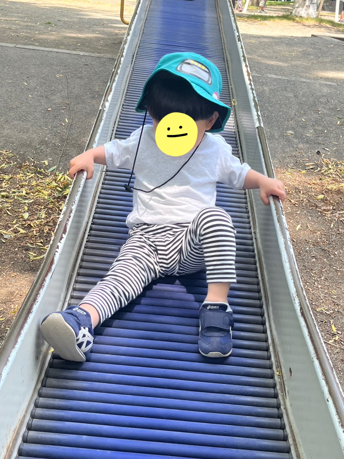 公園＆綱引き