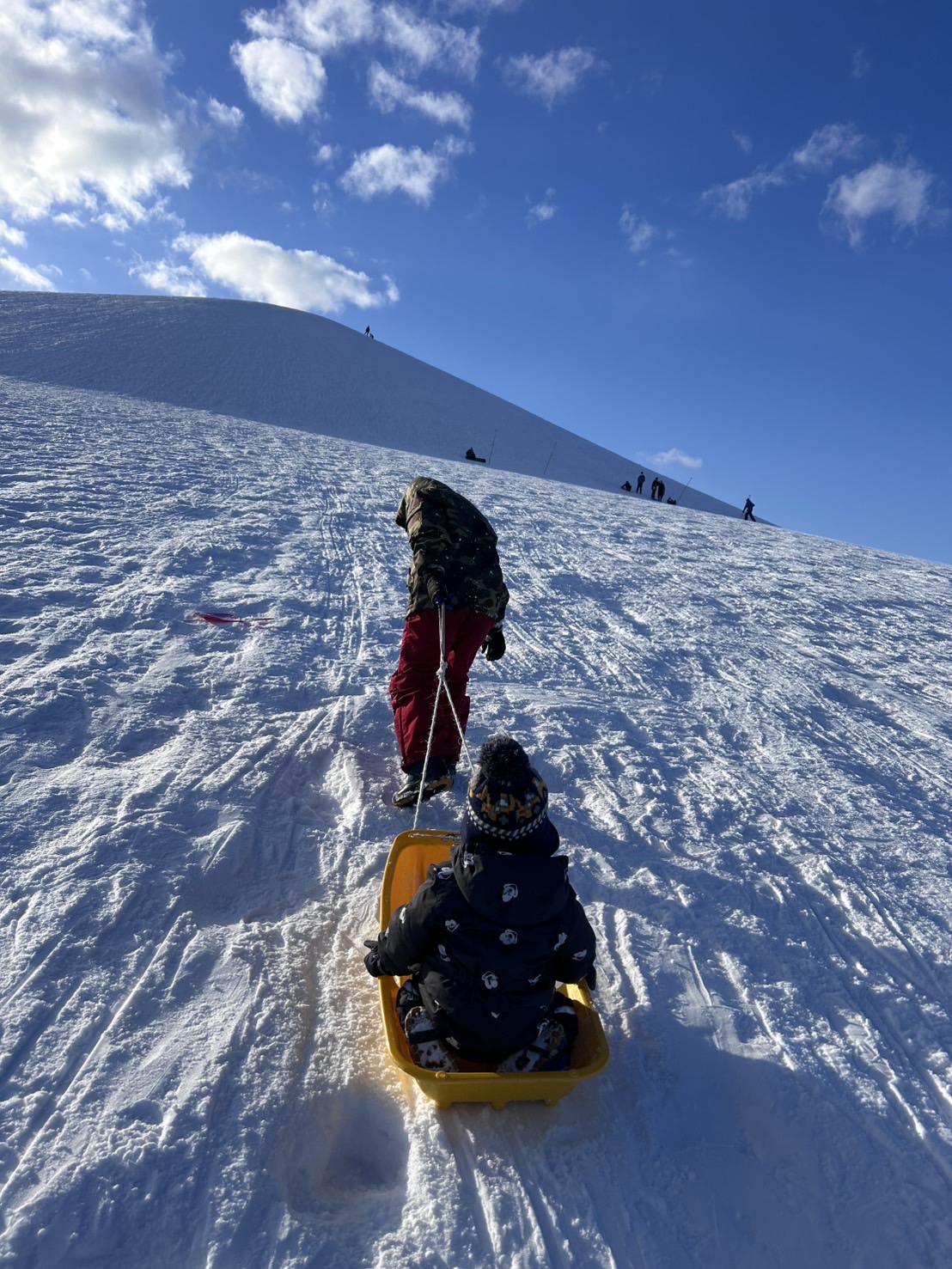 みんながだいすき雪遊び⛄