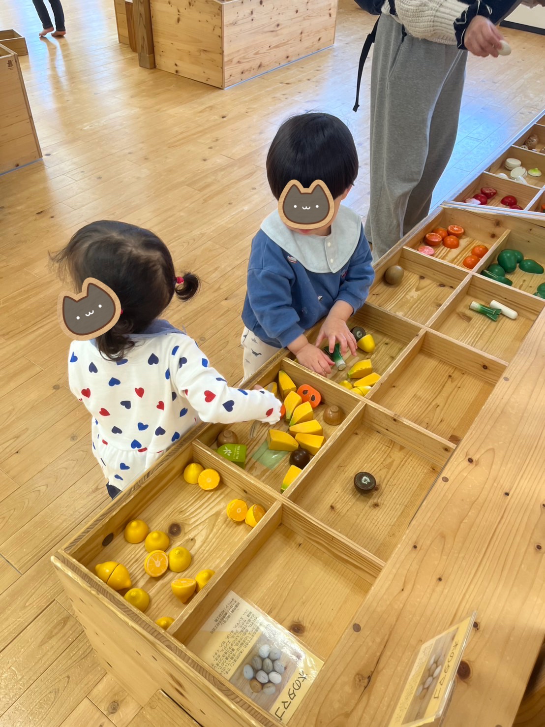 木育広場＆だるまさんの一日