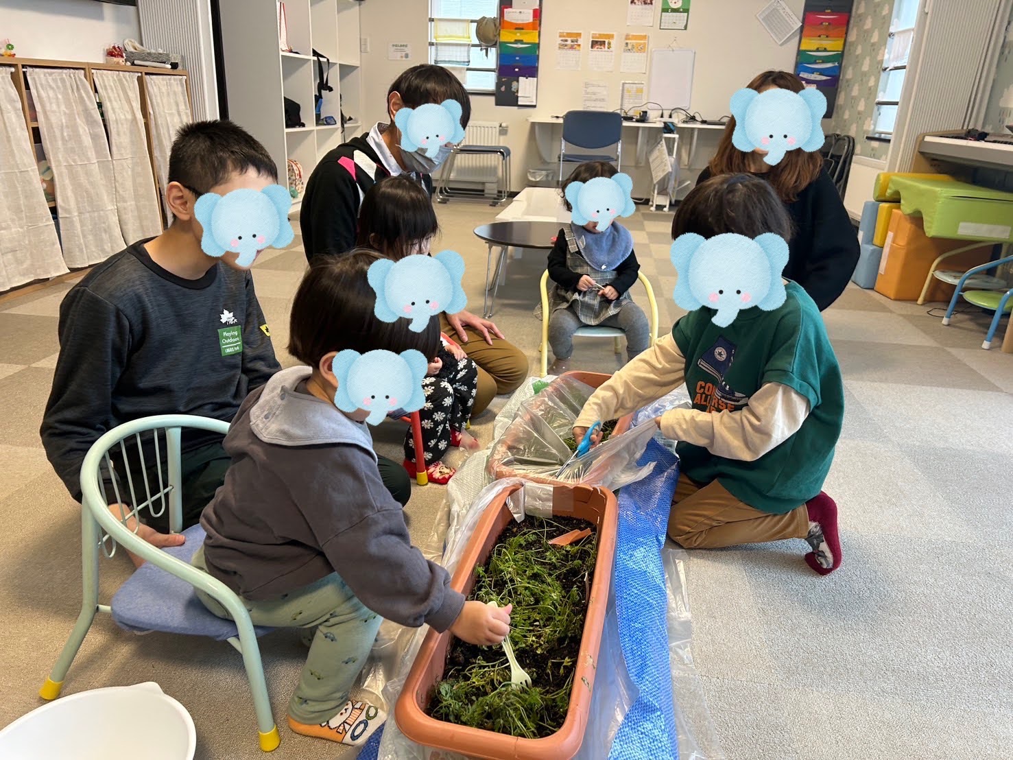 収穫したよ🥕