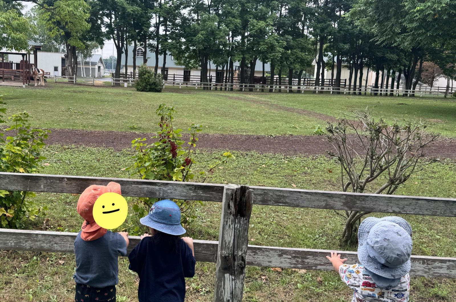 今週の前半🌈28日～30日