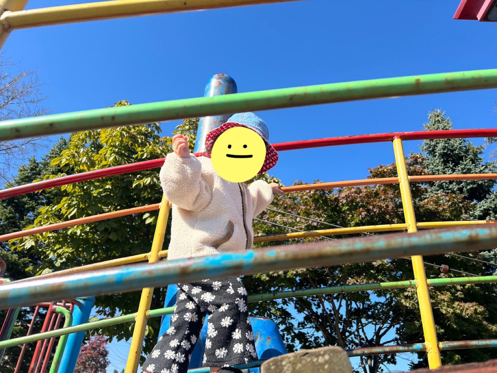 今週の前半🌈14～15日