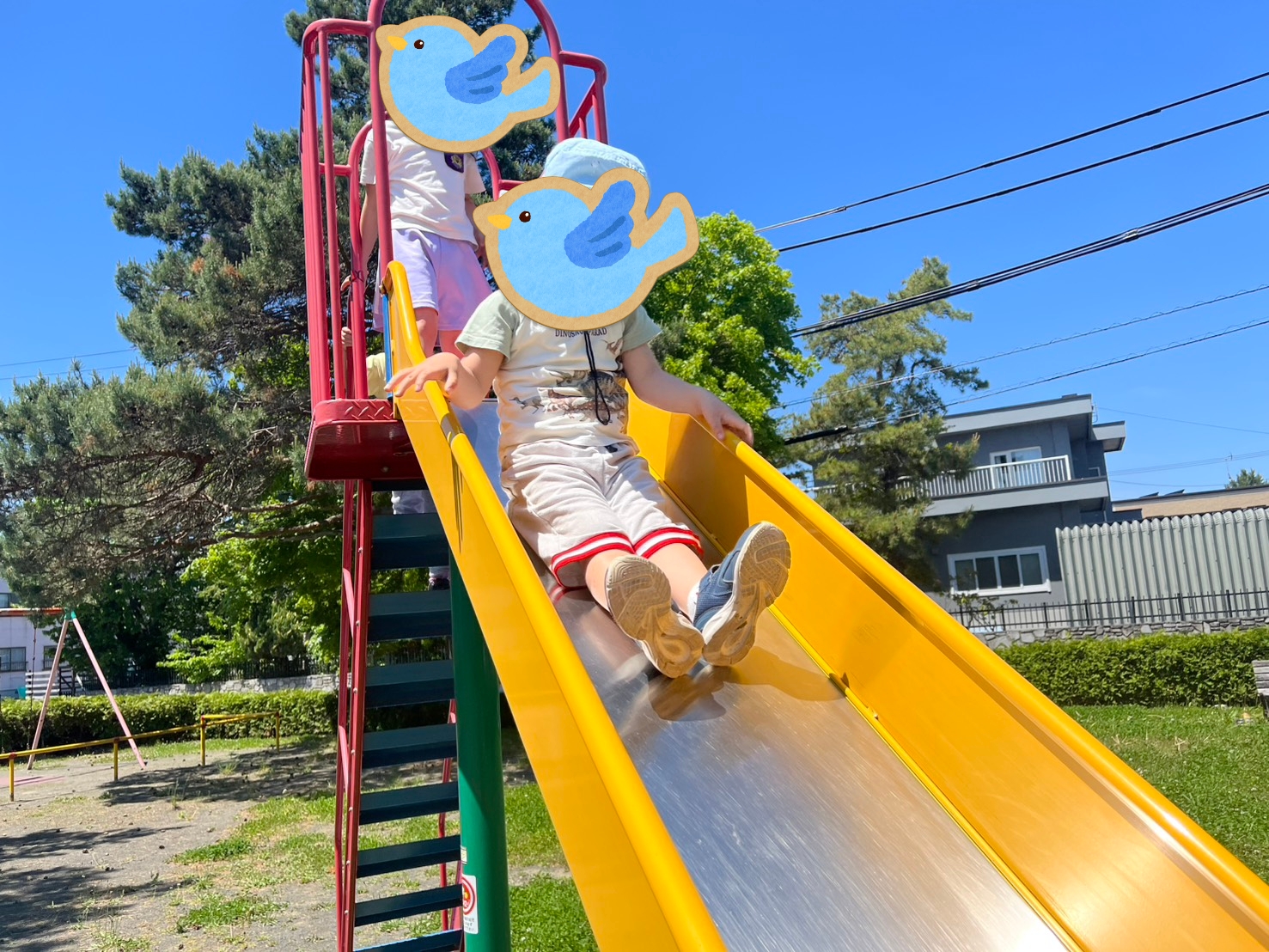 前半🌈6月1日~3日