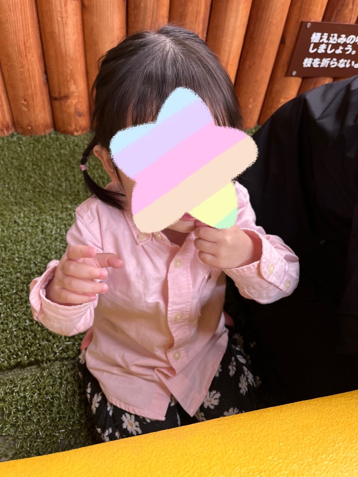 今日も暖かい１日でした🌤