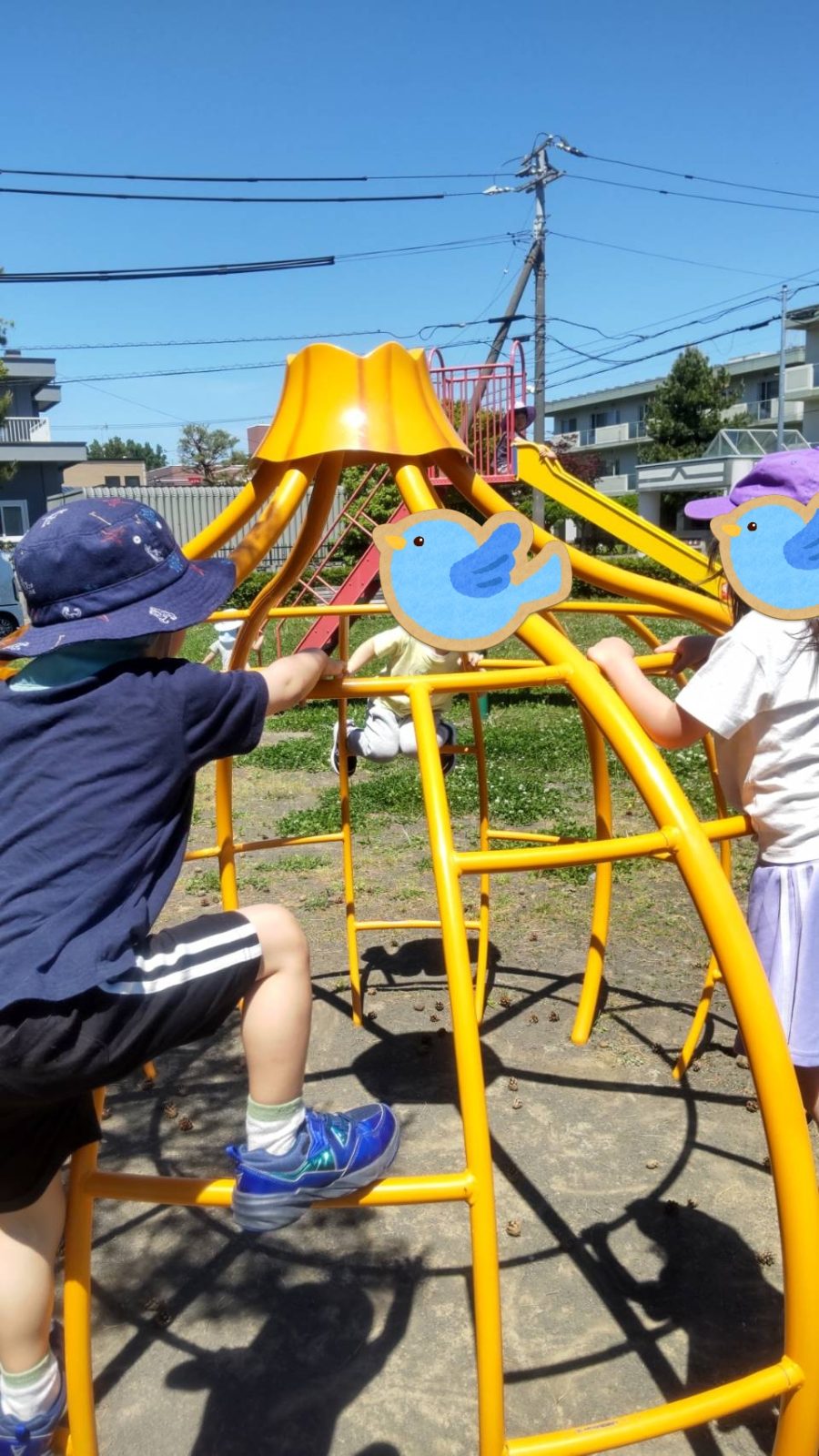 前半🌈6月1日~3日