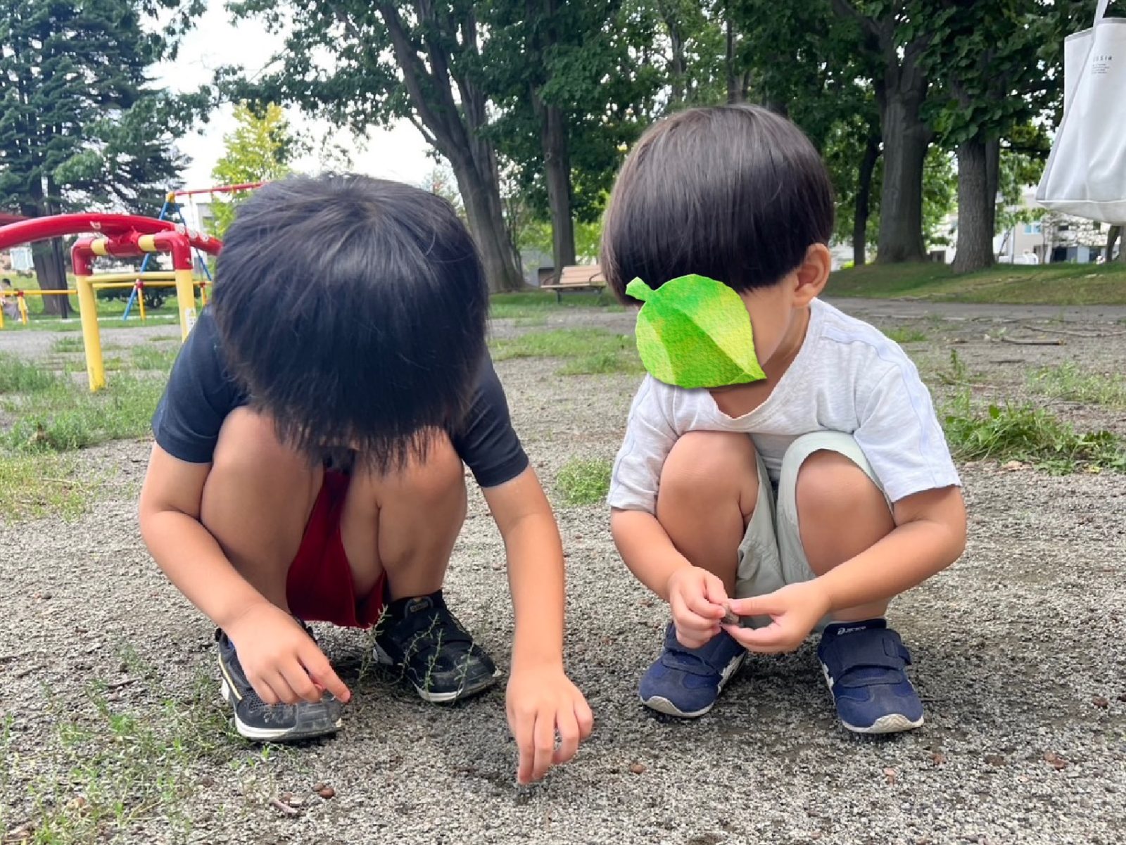 今週の前半🌈1日~3日